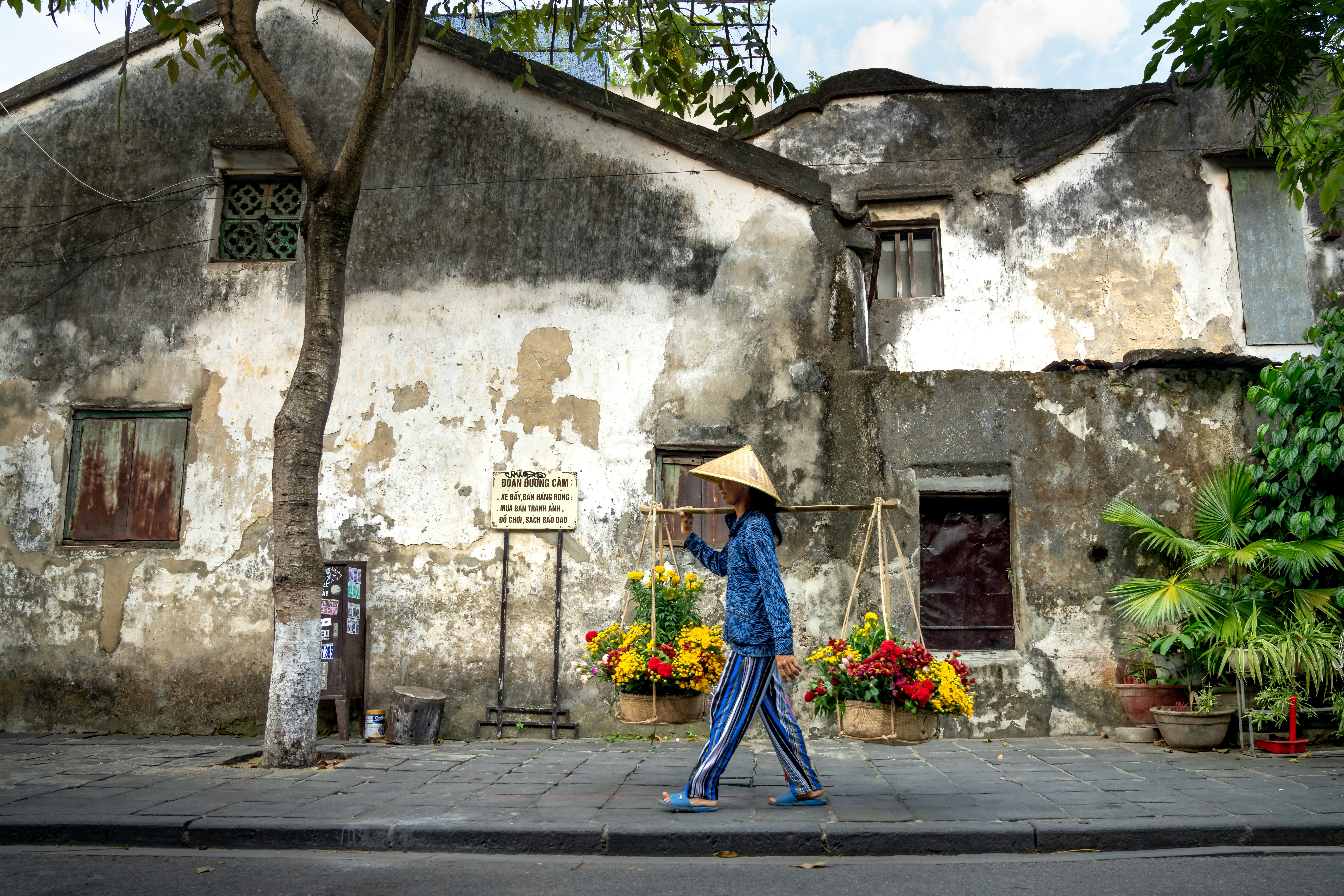 Photo by quangpraha