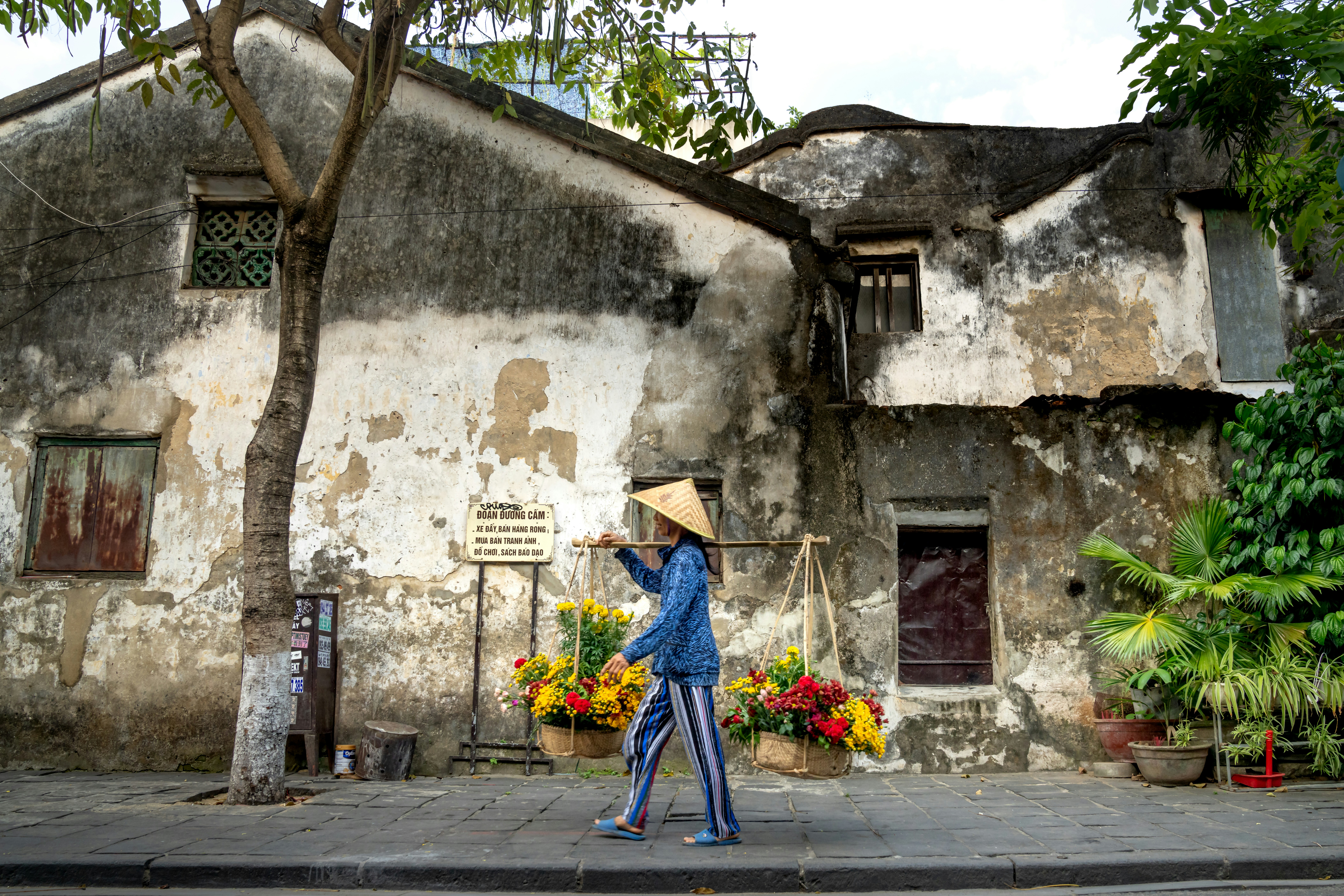 Photo by quangpraha