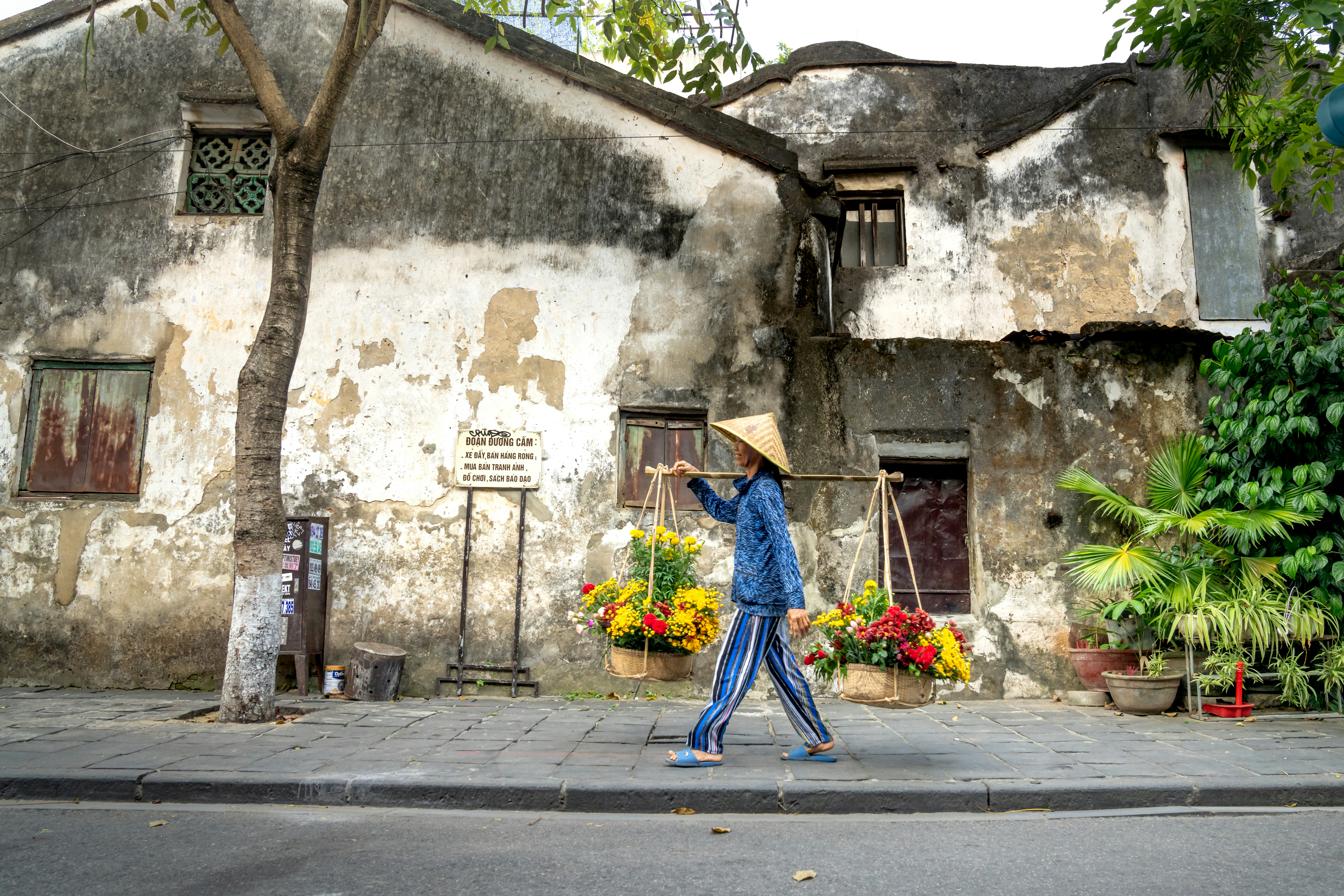 Photo by quangpraha