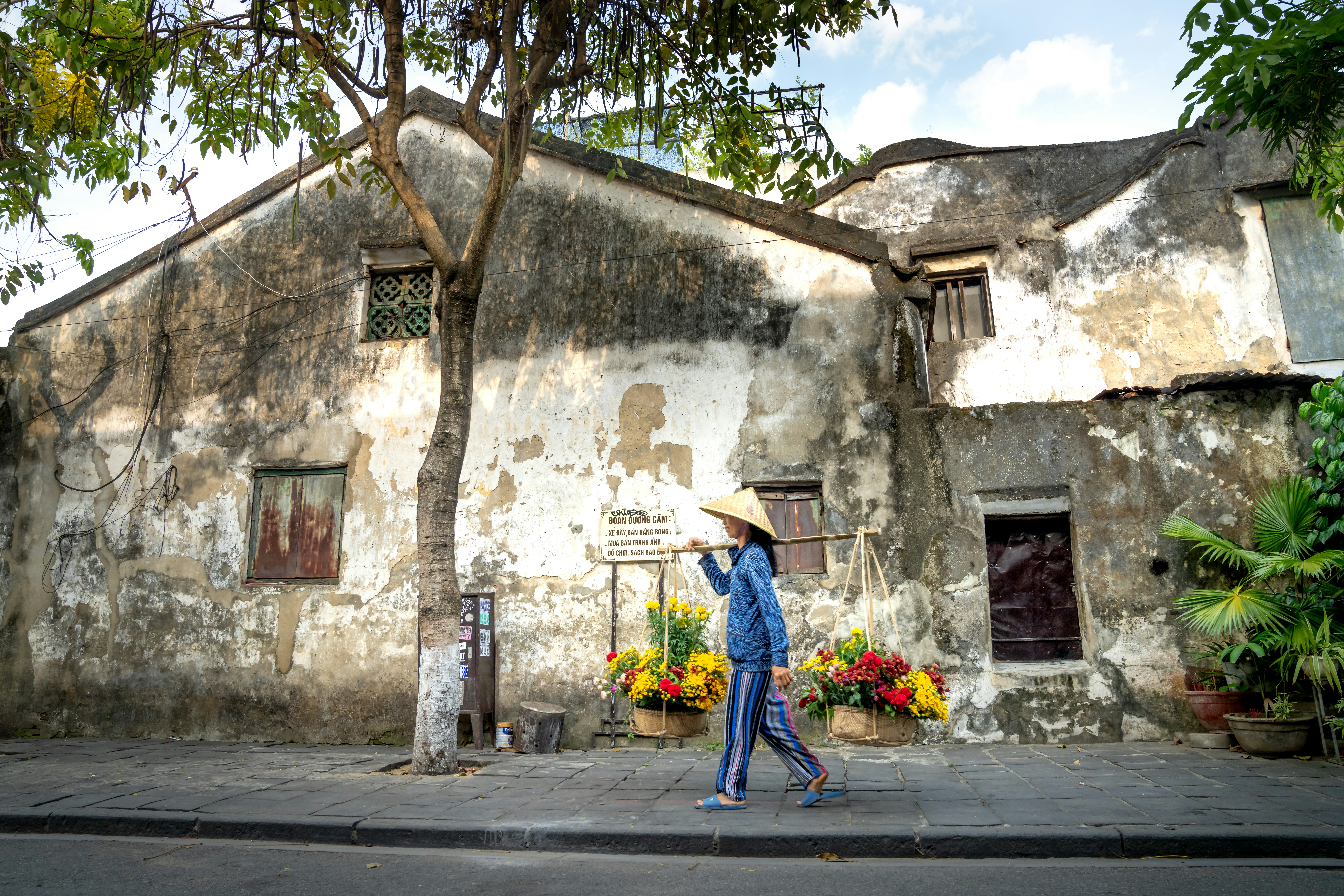 Photo by quangpraha