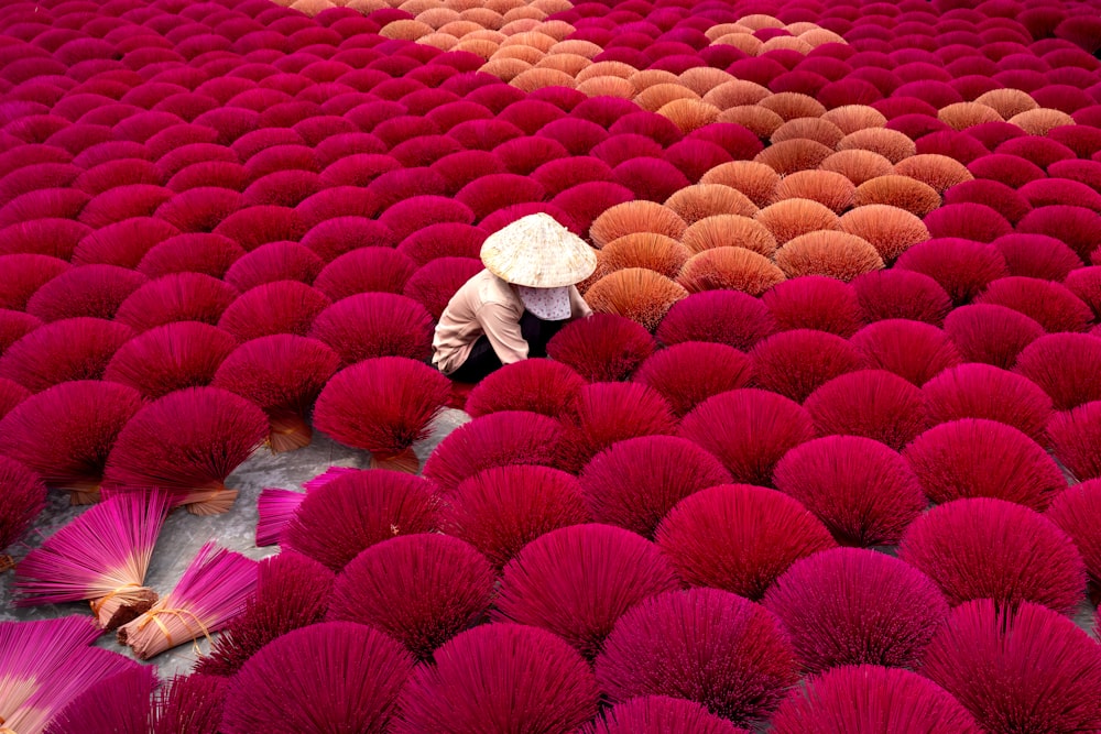 a person kneeling down in a field of red flowers