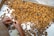 A large number of brown and yellow larvae or pupae are spread out on a flat surface. Two hands are seen sorting through them, possibly for selection or inspection purposes. The setting appears to be indoors, utilizing a white tray for sorting.