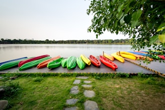 A variety of colorful kayaks and canoes are lined up on a wooden dock beside a calm lake. The scene is framed by green foliage on the right, with a background of distant trees across the water. The dock is bordered by a short path of flat stones leading onto a grassy area.