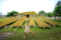 A person is carrying a large mat of herbs or grass on their head while walking on a grassy field. Several mats are laid out on wooden scaffolding in the background, likely for drying purposes. Trees and a partly cloudy sky are visible, suggesting an outdoor rural setting.