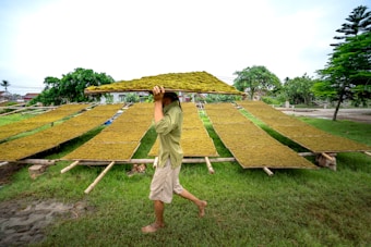 A person is carrying a large mat of herbs or grass on their head while walking on a grassy field. Several mats are laid out on wooden scaffolding in the background, likely for drying purposes. Trees and a partly cloudy sky are visible, suggesting an outdoor rural setting.