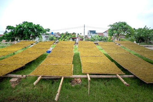 a large field of green grass with trees in the background