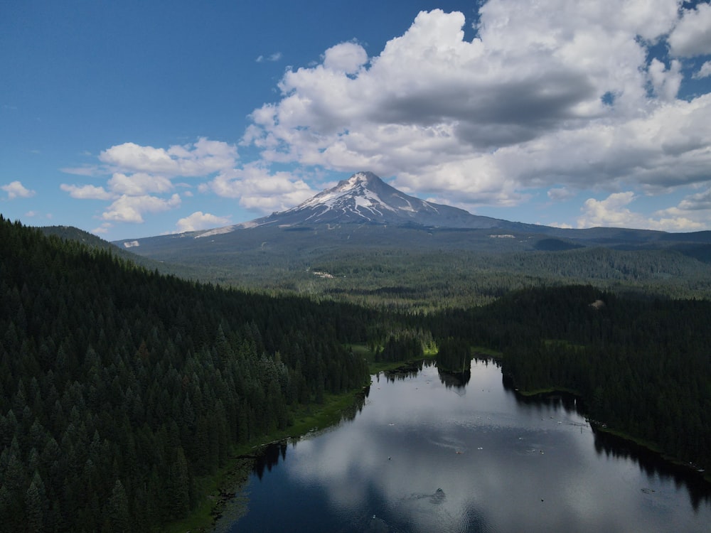 a lake in the middle of a forest with a mountain in the background