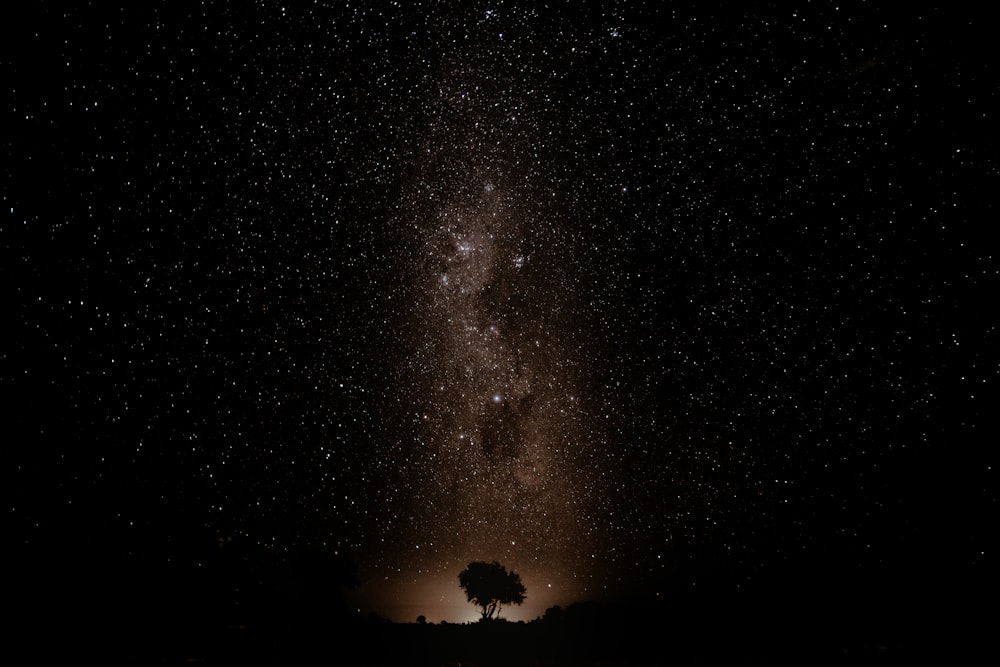 the night sky is filled with stars and a lone tree
