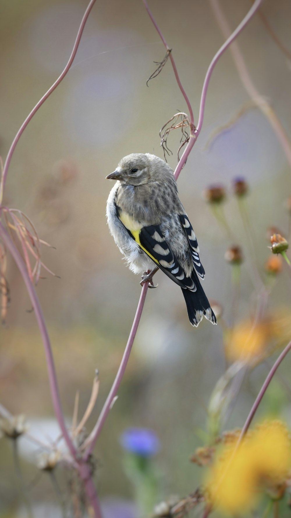 a small bird perched on top of a tree branch