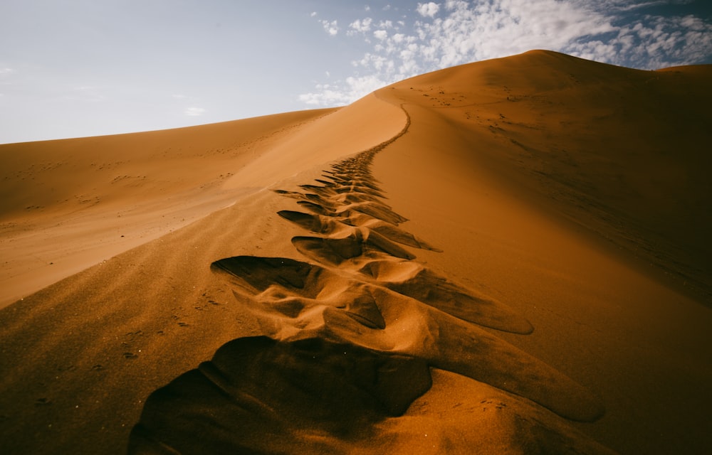 a line of footprints in the sand of a desert