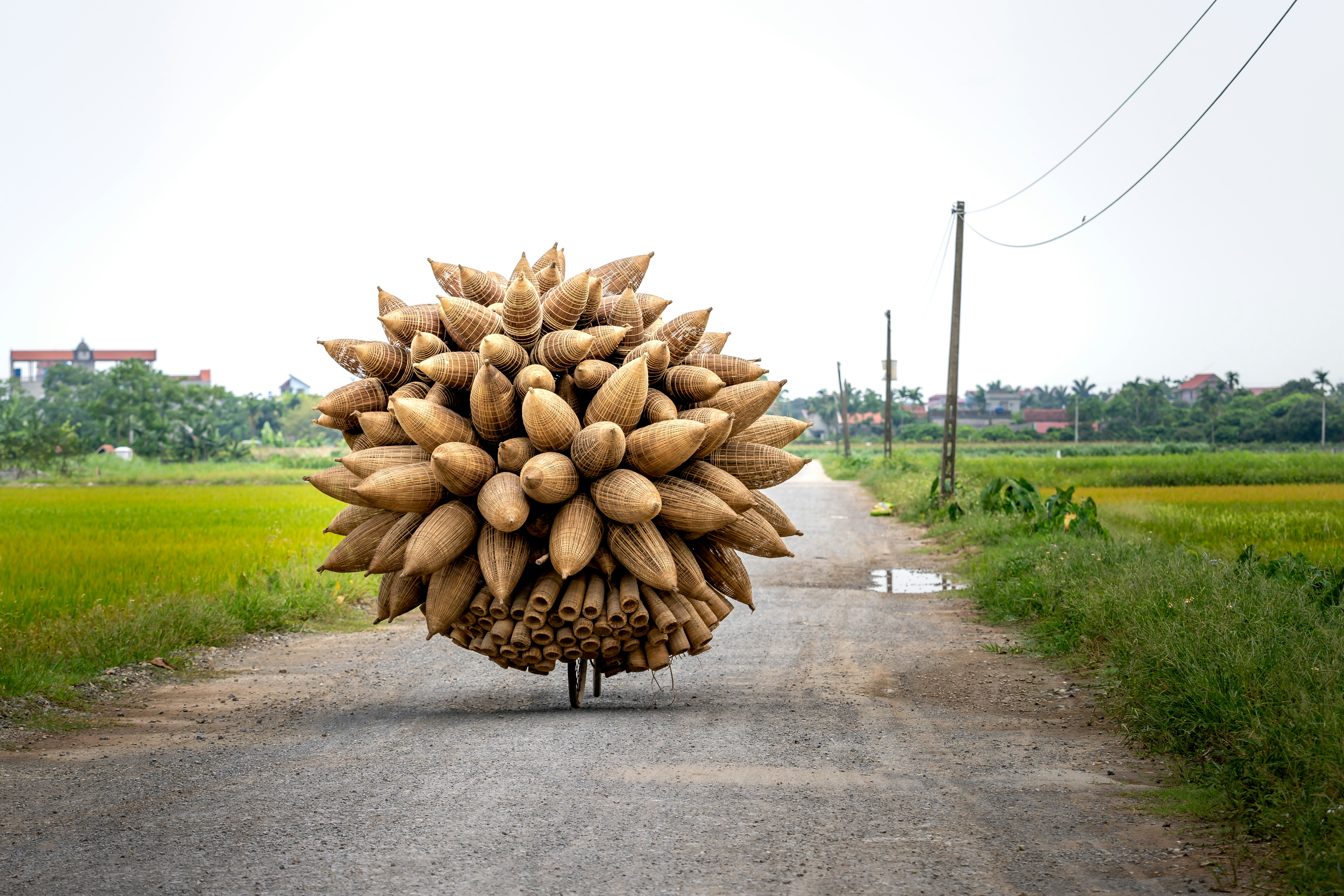 Photo by quangpraha