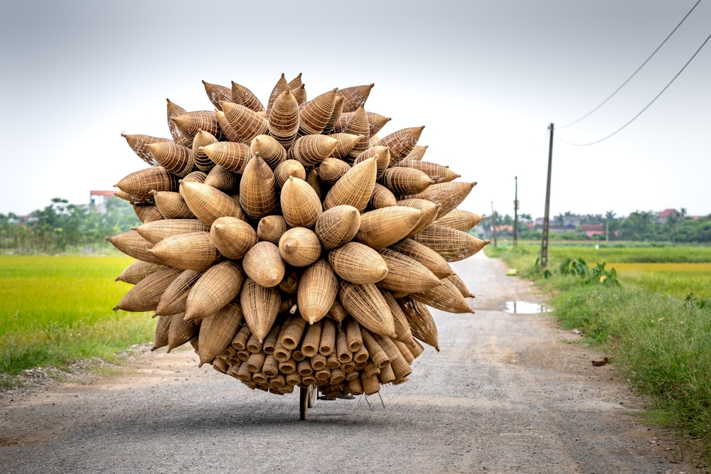 a bunch of bananas hanging from a pole on the side of a road