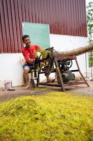 A person in a red shirt is manually operating a machine used for processing or handling leaves or fibrous plants. The machine is positioned beside a building with a corrugated metal wall. In front of the machine, there is a pile of green plant material on the ground.