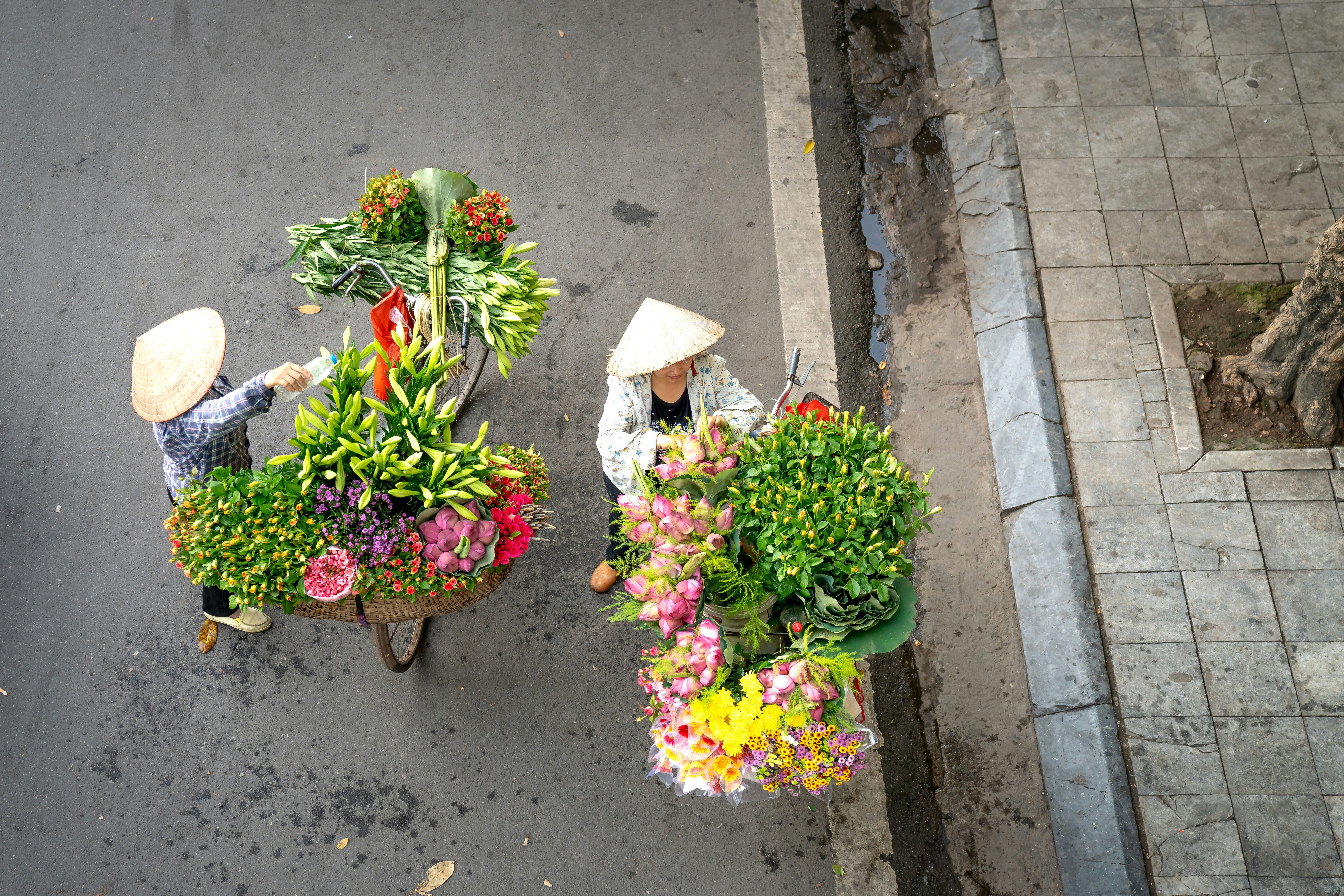 Photo by quangpraha