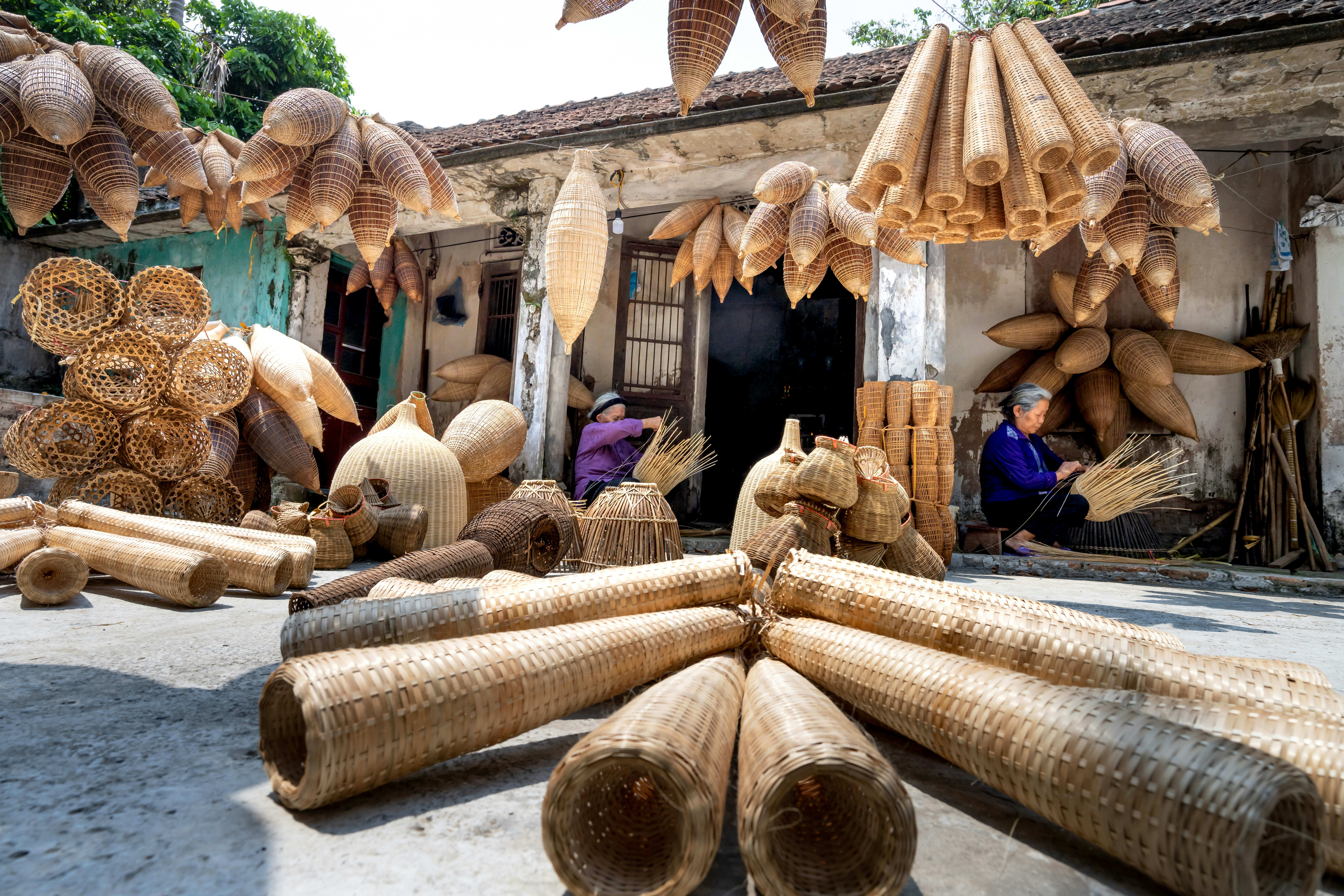 a bunch of bamboo sticks that are laying on the ground