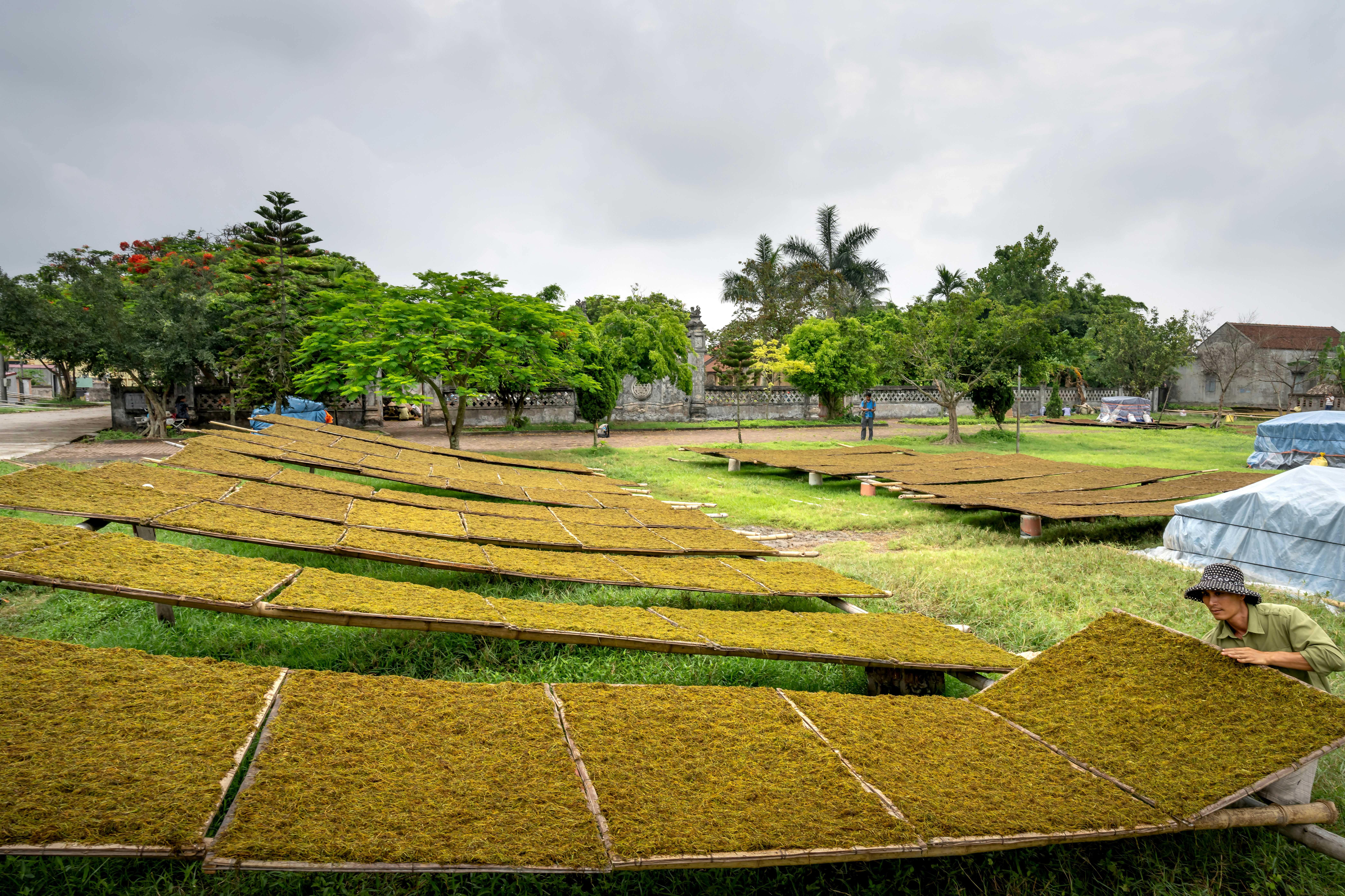a man working in a field of grass