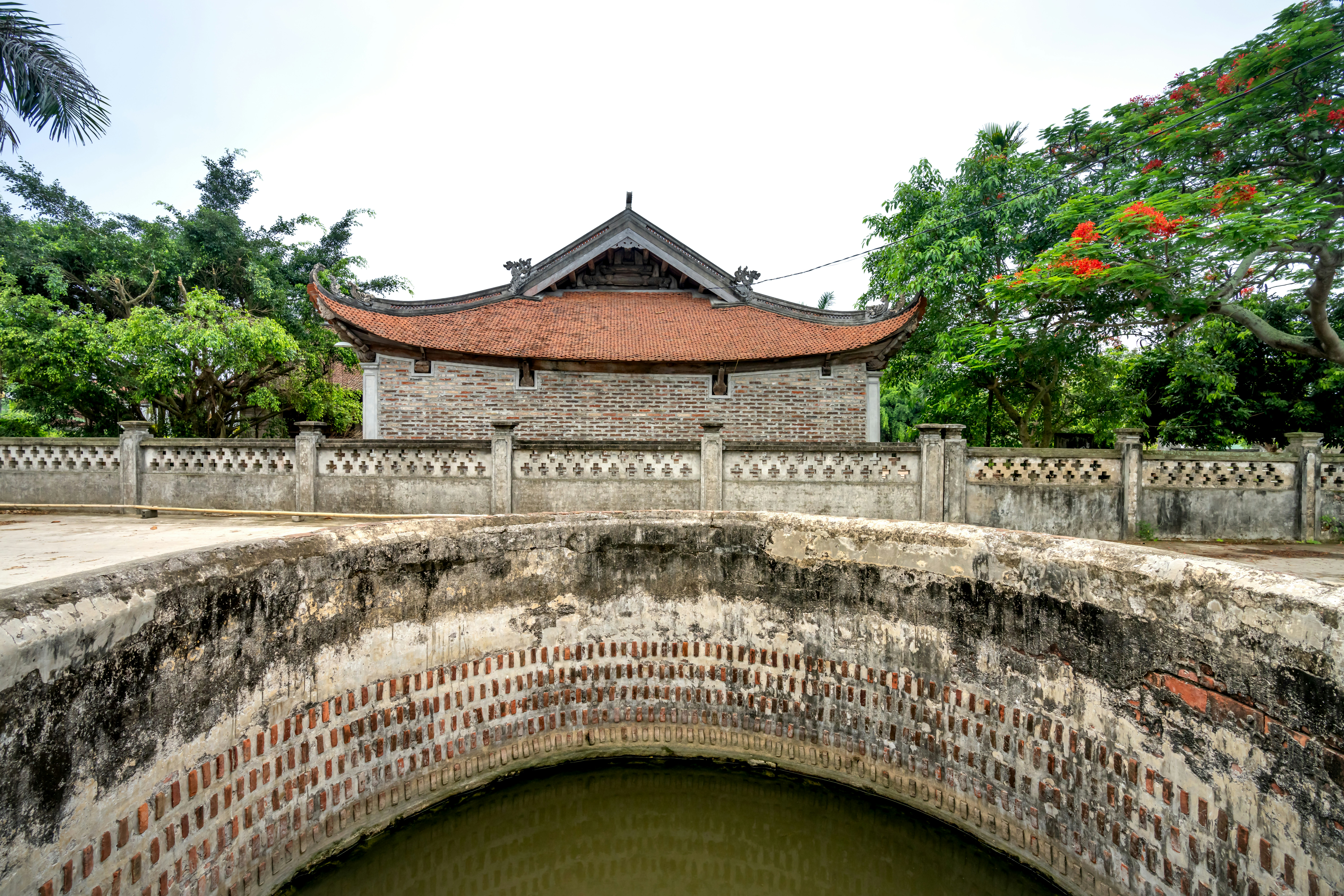 Photo by quangpraha