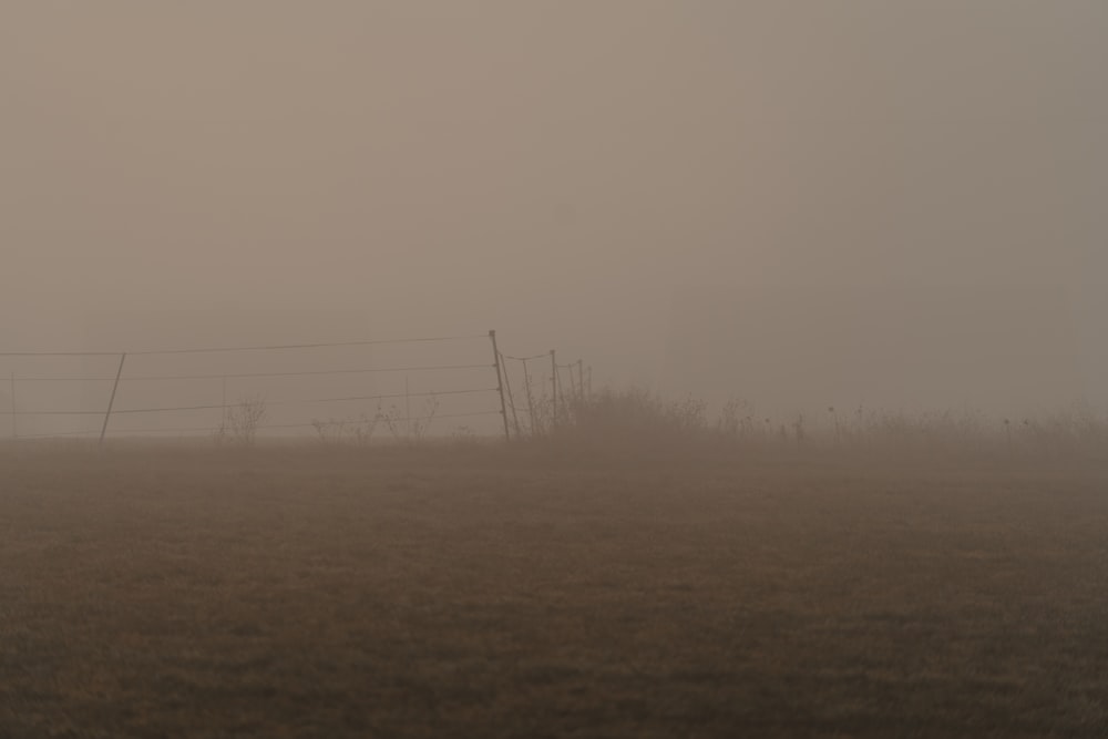 a foggy field with a fence in the distance