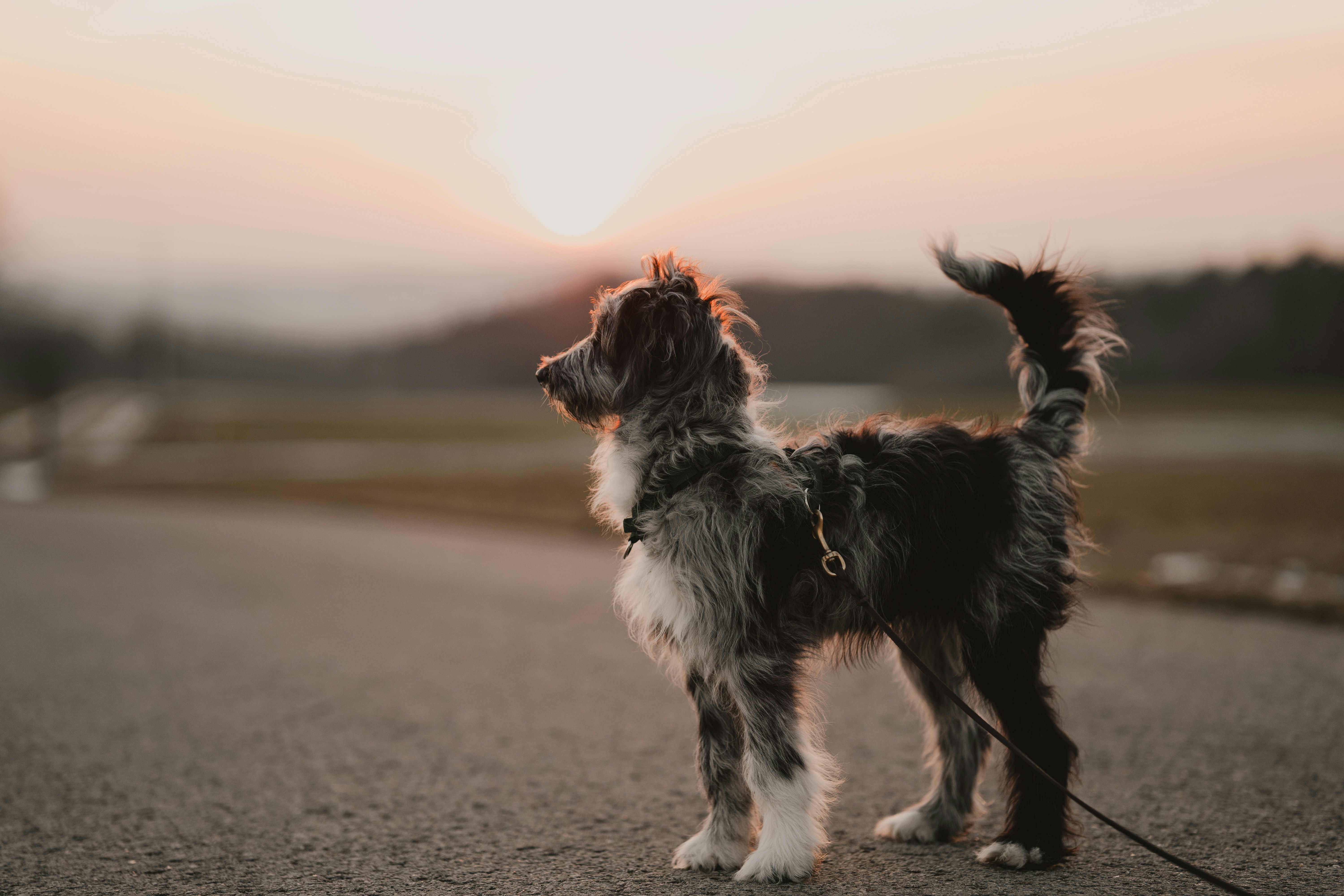 Photo by julianhochgesang