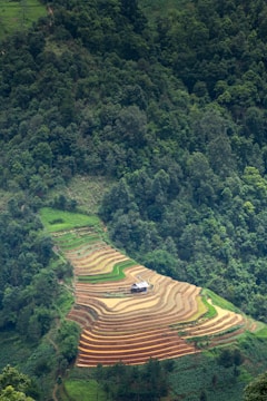 Terraced fields on a hillside showing sustainable terrain farming.