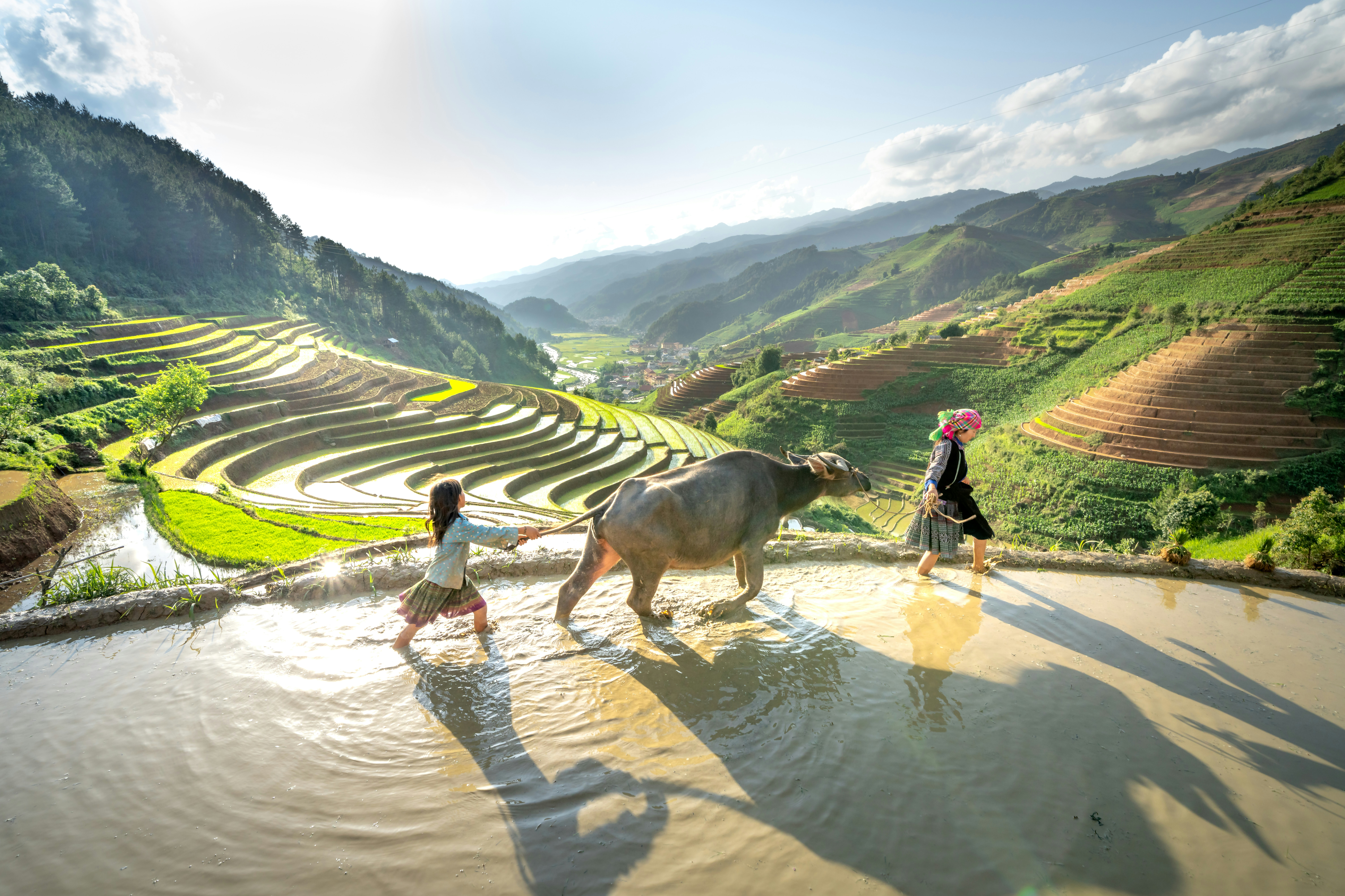 A group of people walking across a river next to an animal photo – Free ...