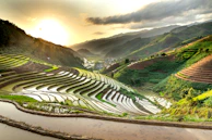 Serene rice terraces cascading down lush hills in Lombok at golden hour.