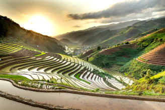 Serene rice terraces cascading down lush hills in Lombok at golden hour.
