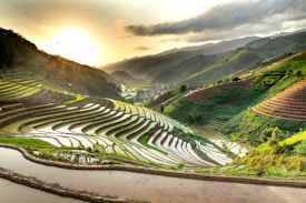 Rice terraces gracefully cascade down a lush, green hillside. The sun sets in the background, casting a golden glow over the landscape and reflecting off the water-filled terraces. Mountains loom in the distance, partially obscured by clouds, creating a tranquil and picturesque scene.