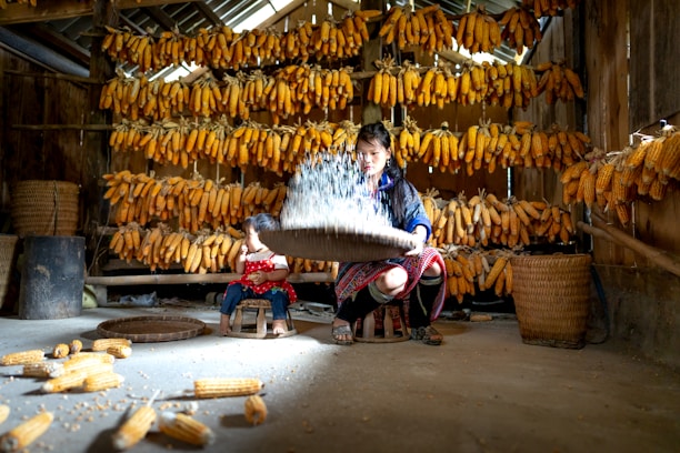 A woman is sifting grains using a flat basket in a rustic room filled with rows of hanging dried corn cobs. A young child sits nearby on a stool, surrounded by scattered corn on the floor. Baskets and wooden beams add to the traditional and rural setting.