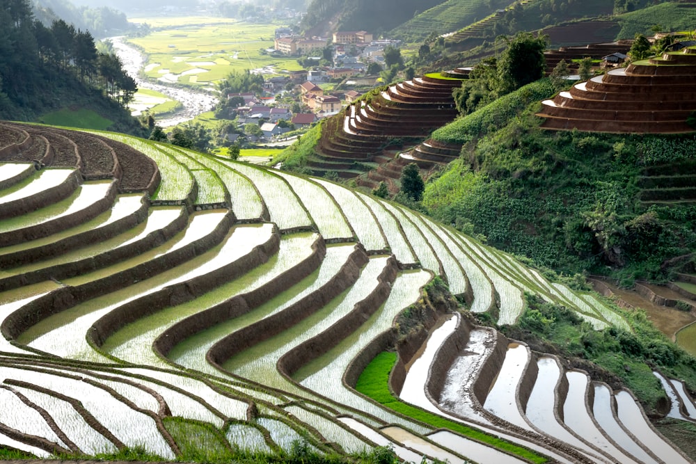 a rice field with terraces in the middle of it