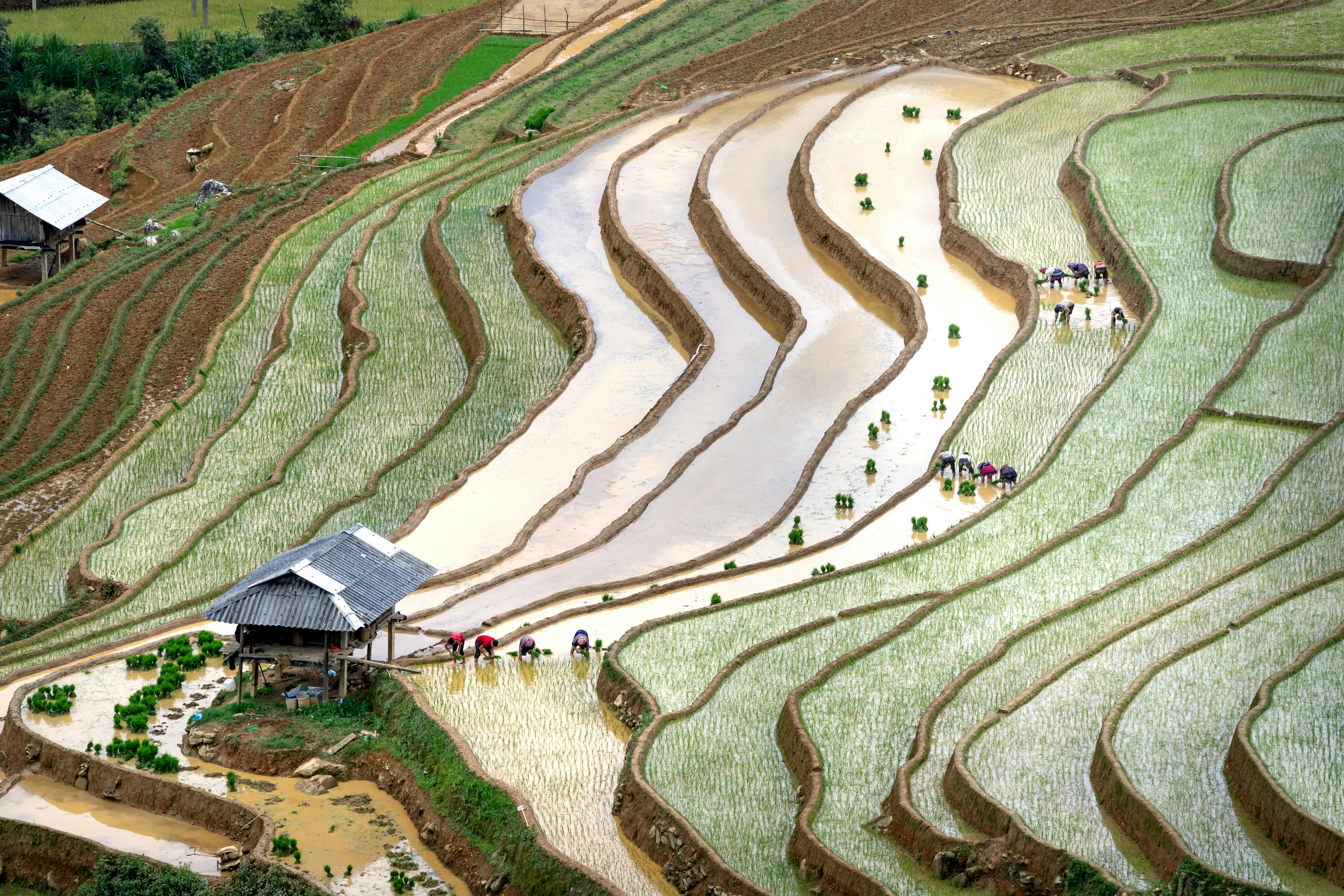 a group of people standing on top of a lush green hillside