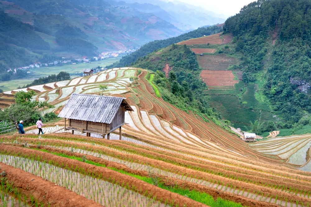 a couple of people standing on top of a lush green hillside