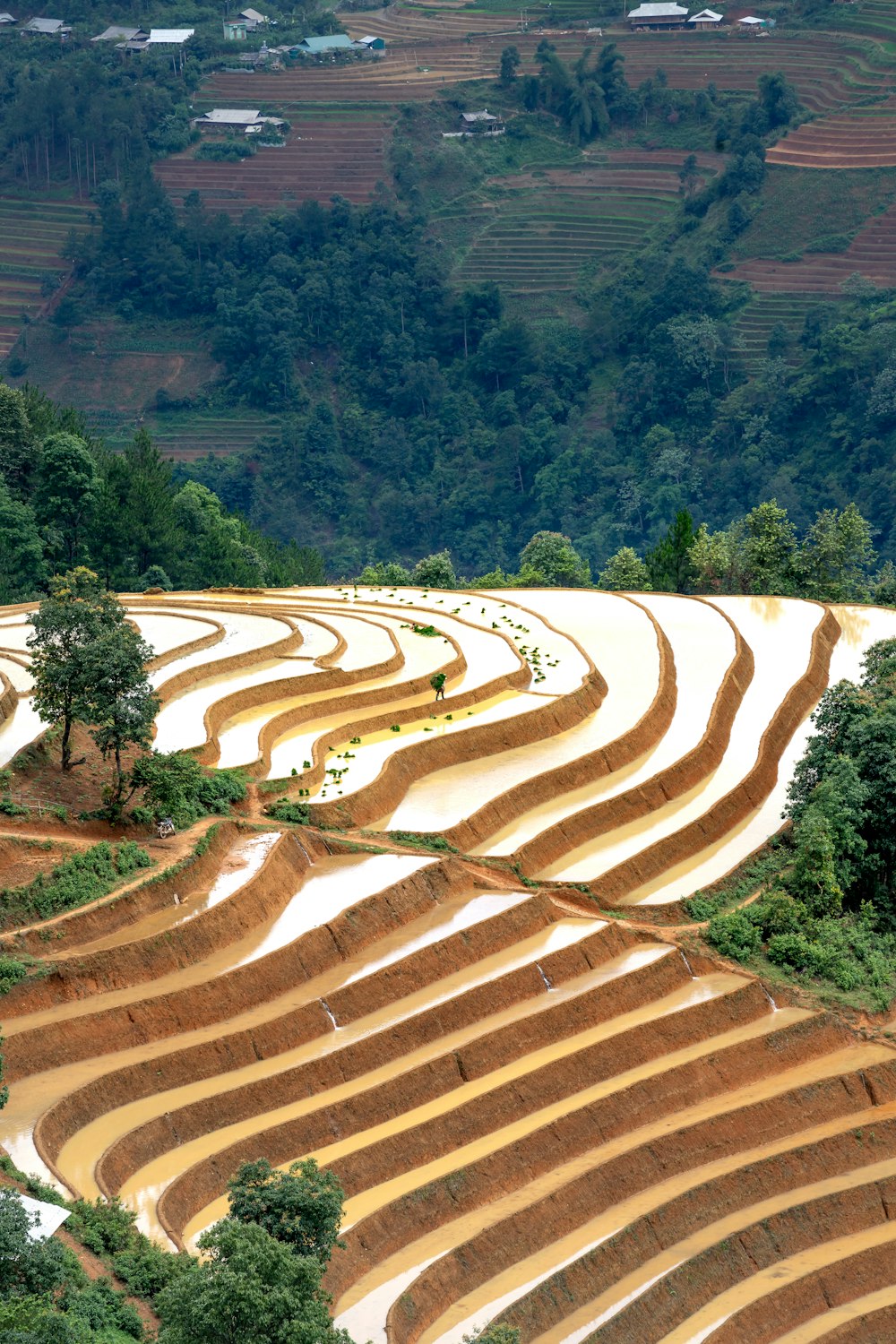 a plowed field in the middle of a rural area