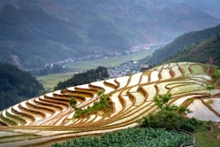 a view of a rice field in the mountains