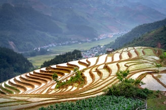 a view of a rice field in the mountains