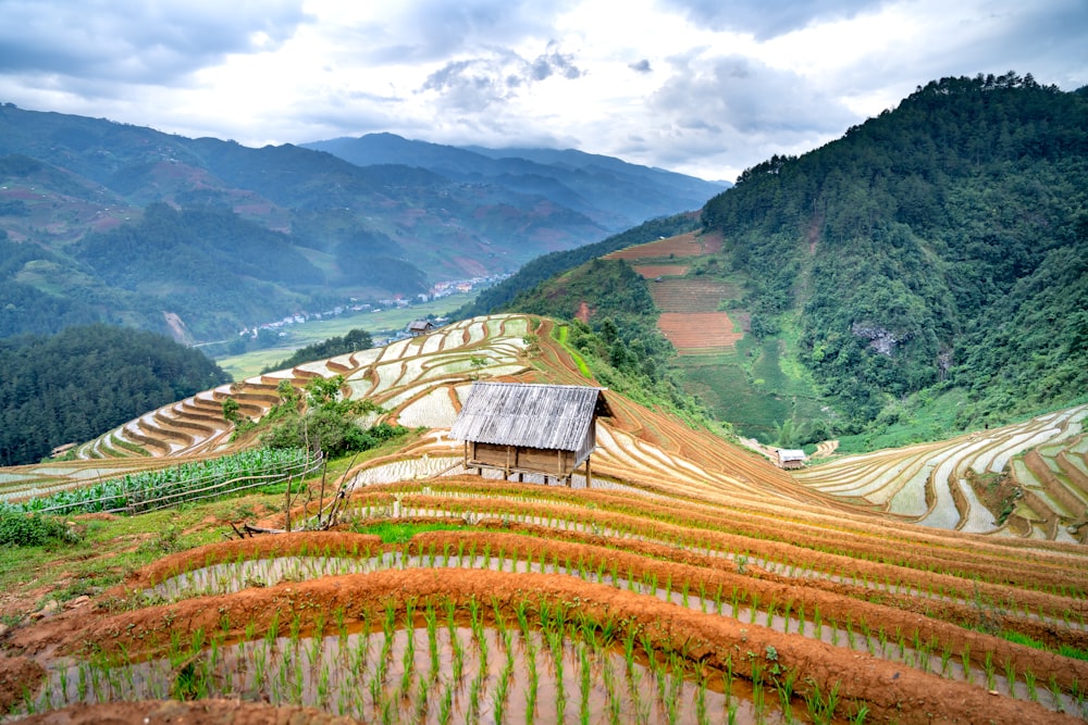 a house on top of a hill surrounded by rice terraces