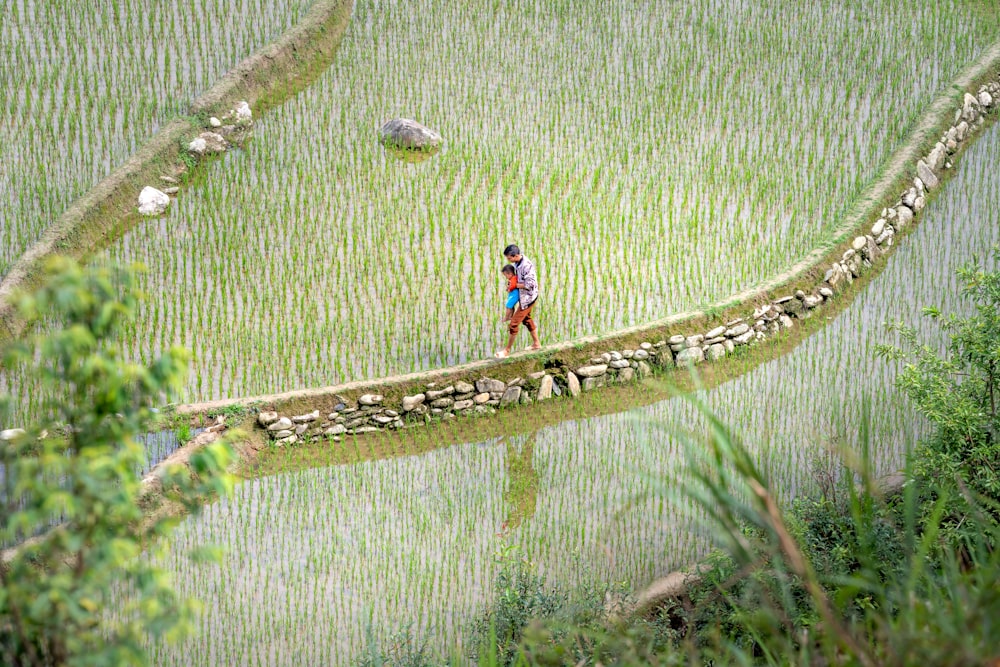 a woman walking across a bridge over a lush green field