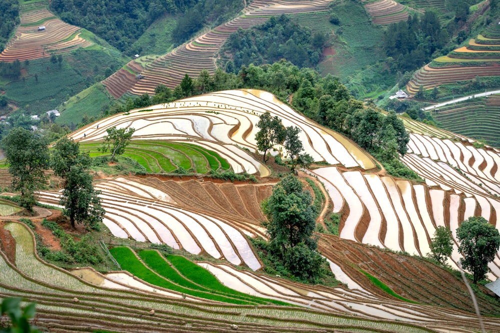 a view of a rice field in the mountains