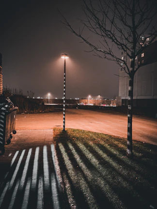 Wide shot of a quiet urban street at dusk, captured with moody, cinematic lighting and deep contrasts.