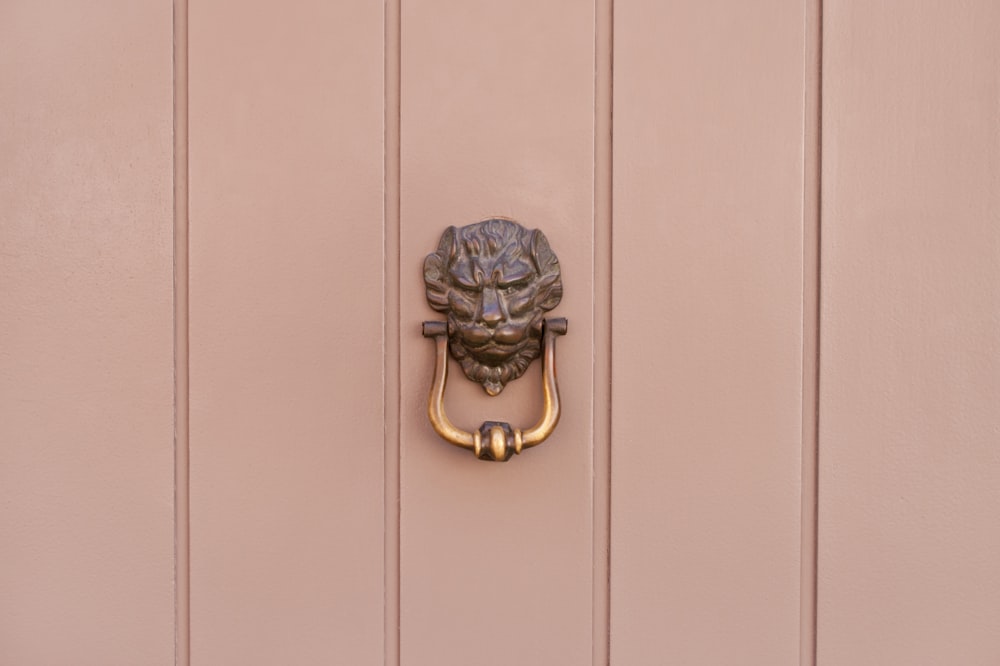 a door handle with a lion head on it