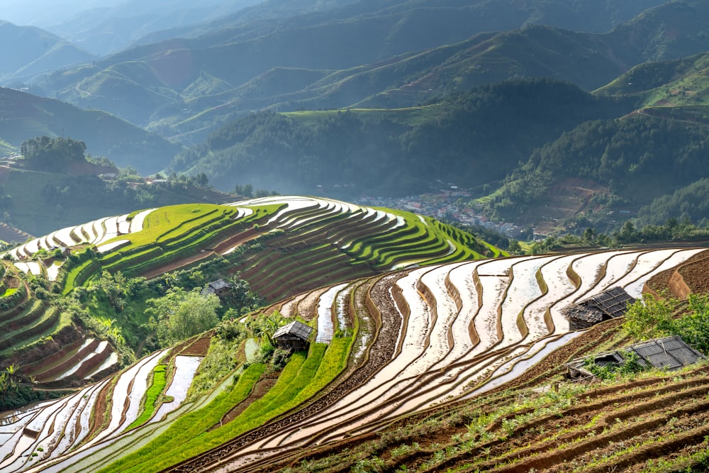 a view of a rice field with mountains in the background