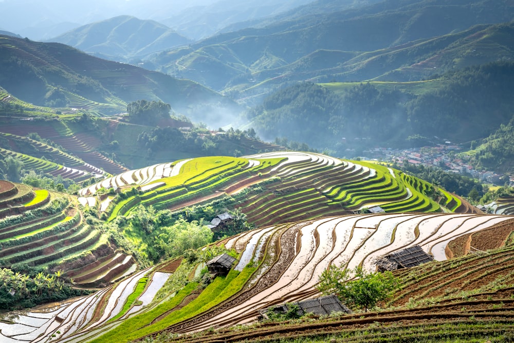 a view of a rice field in the mountains