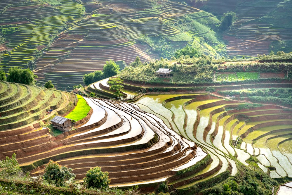 the terraced rice terraces of a rice field