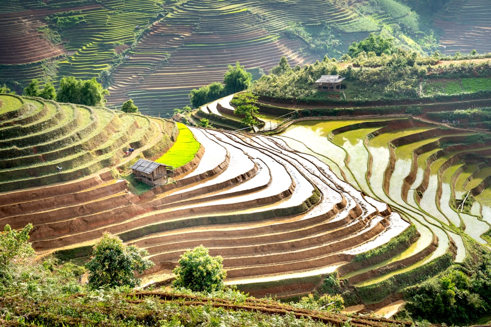 the terraced rice terraces of a rice field