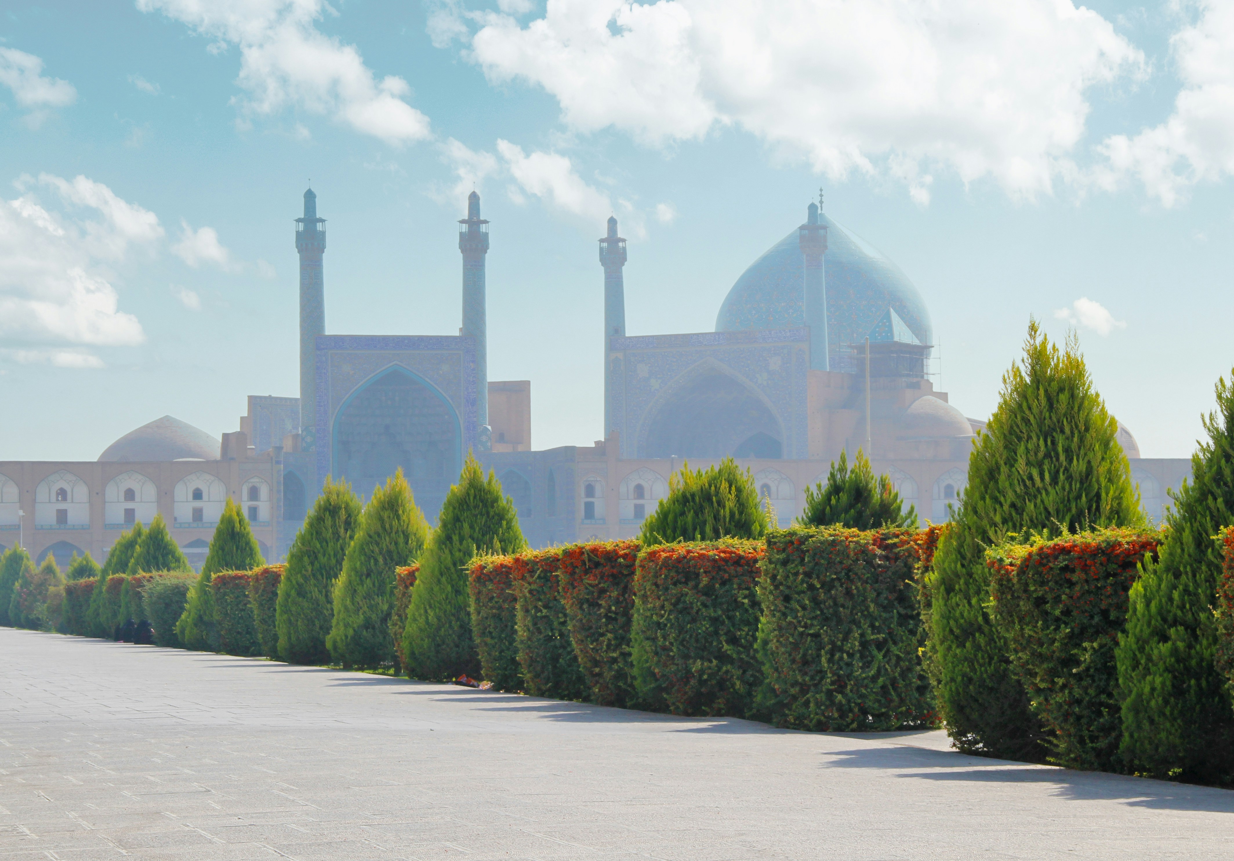 a row of trimmed bushes in front of a building