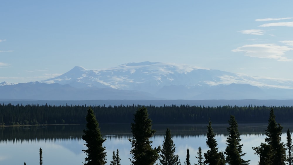 un lago rodeado de árboles y una montaña al fondo