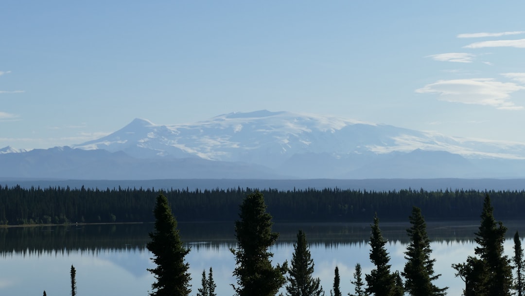 a lake surrounded by trees and a mountain in the background, A quiet lake in Alaska