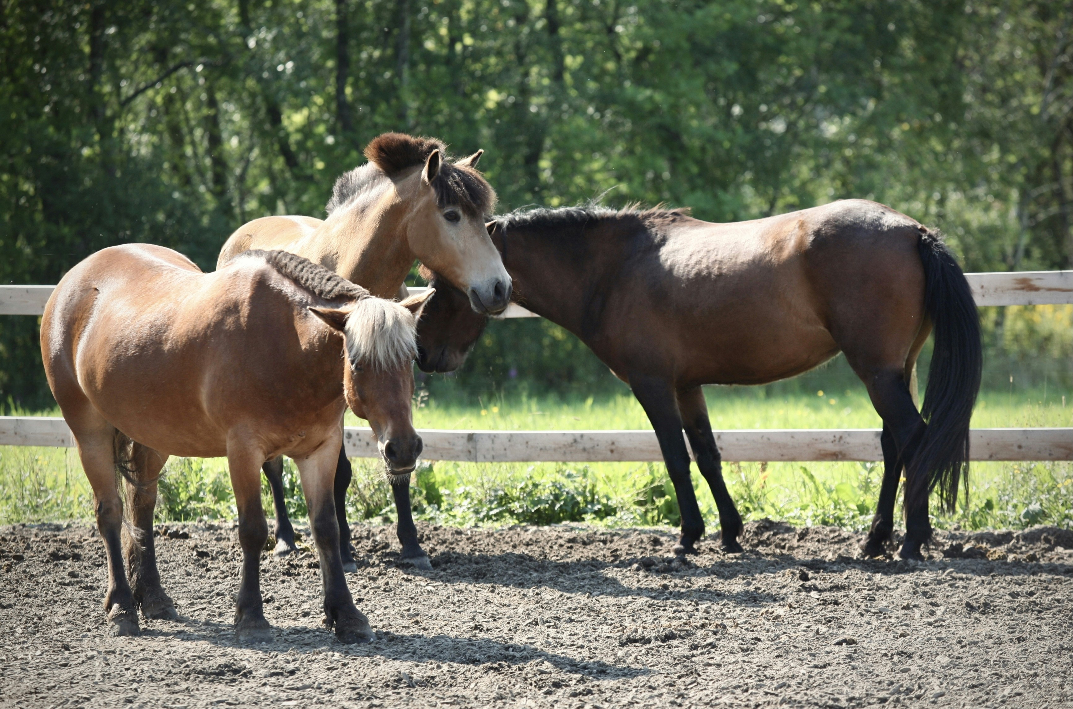 Photo by kristinokarlsen