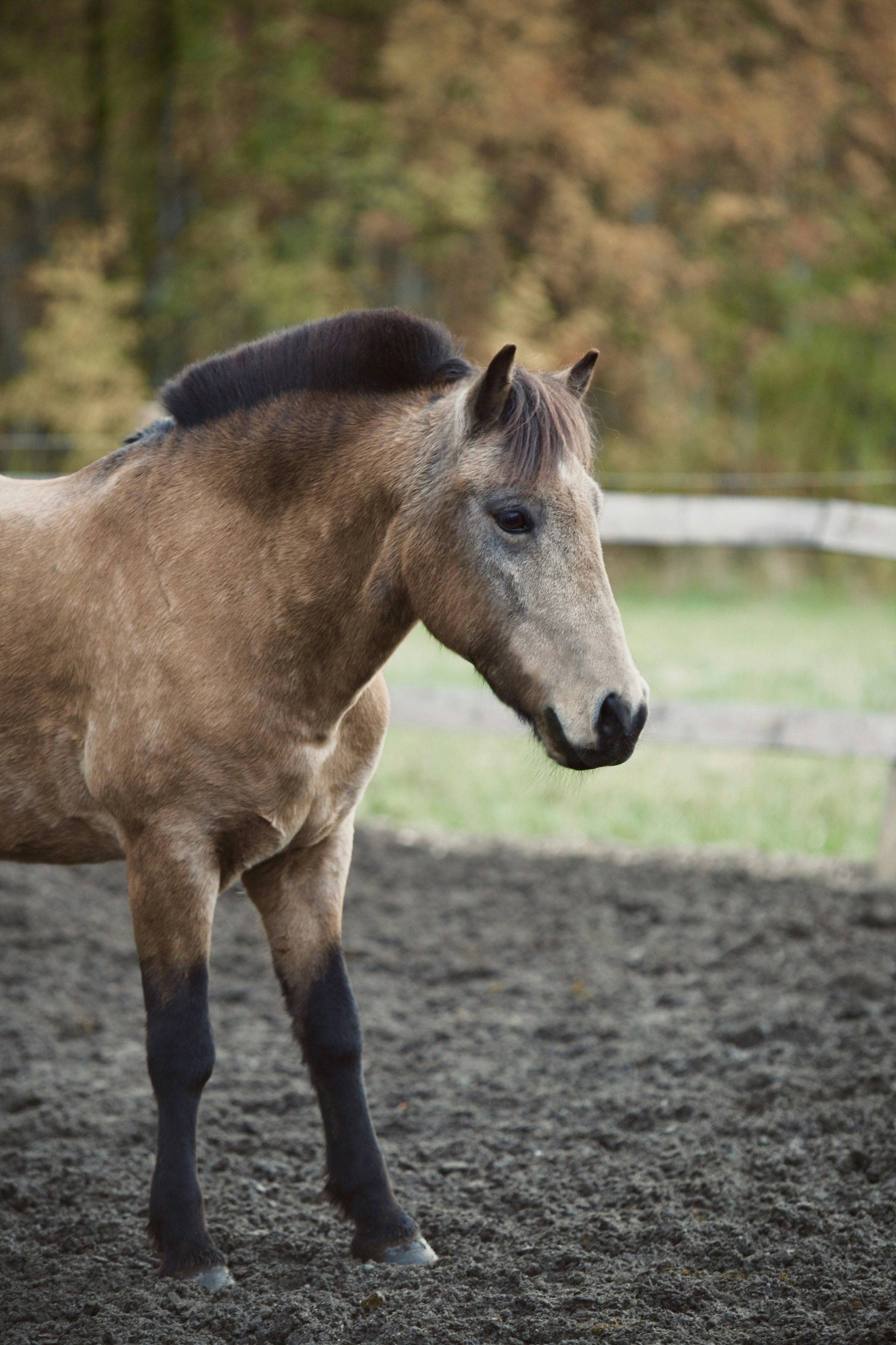 Photo by kristinokarlsen