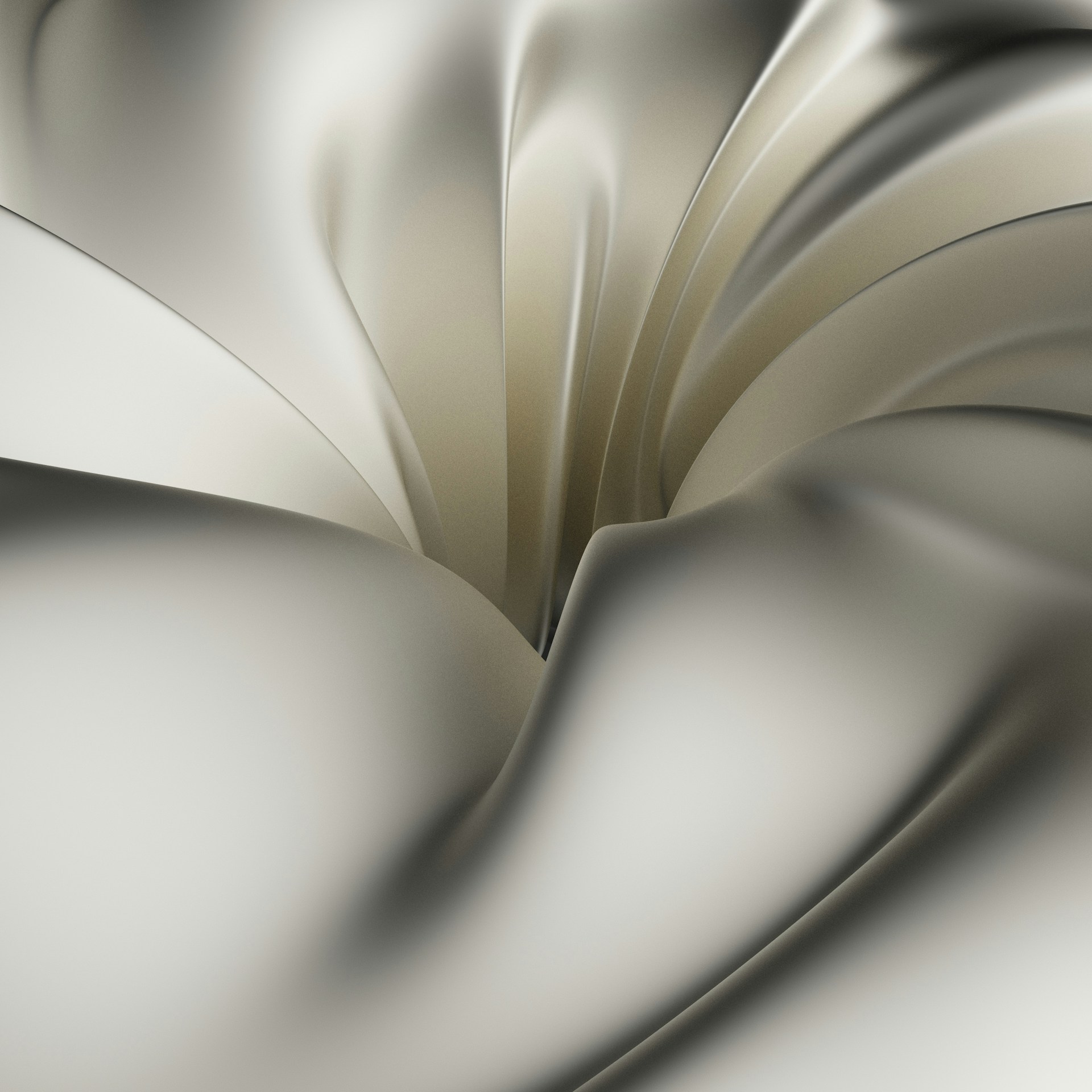 a close up view of a white flower